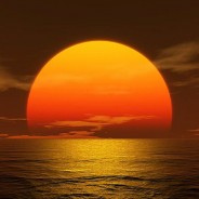 At the Birth and Death of a Century