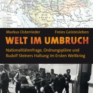 The best book yet on the causes of the First World War